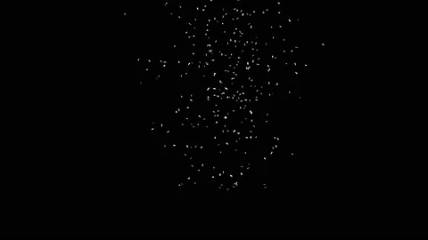 Confetti Particles with Alpha Channel. Stock Footage 218257008