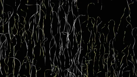 Confetti ribbons with Alpha matters isolated on black, seamless loop Stock Footage 174718968