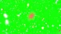 Confetti shapes falling slow motion DOF loop 4K 4k or 4k+ Resolution
