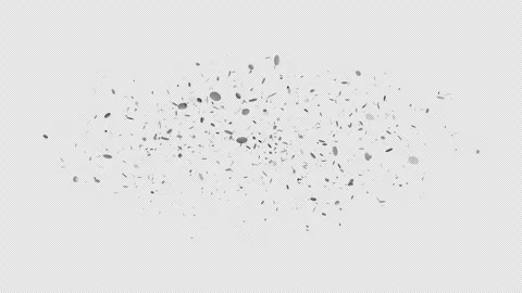 Confetti Silver Particles Center Stock Footage 283855246