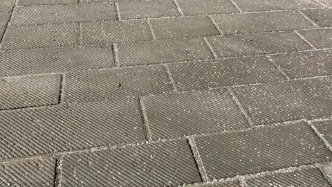 Confetti in the wind Stockbeeldmateriaal 171313774