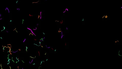 Confetti02 Stock Footage 340822580