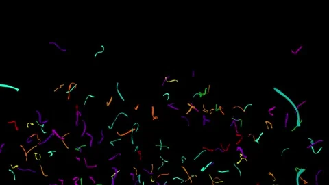 Confetti11 Stock Footage 340822714