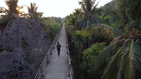 Confident Boy Walking on Bridge with Sun to the Left – Drone Footage Stock Footage 284374826