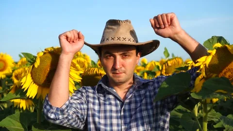 Confident farmer man having fun in sunflowers field Stock Footage 138396867