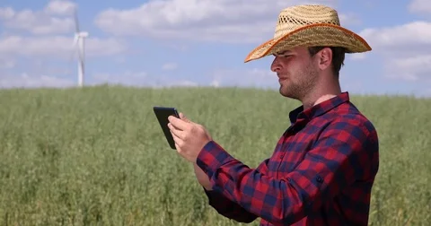 Confident Farmer Man Using Digital Tablet Examining Green Oats Field Bio Cereals Stock-Footage 77012309