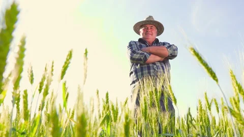 Confident farmer standing in wheat field Stock Footage 201090921