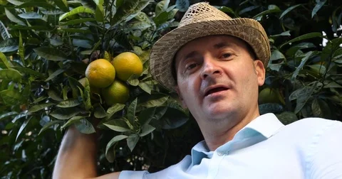 Confident Gardener Man Talk Camera Citrus Product in a Orange Plantation Orchard Video stock 75846876