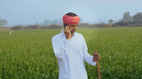 A confident modern farmer making a call while standing in his agricultural field Stock Footage 154989283
