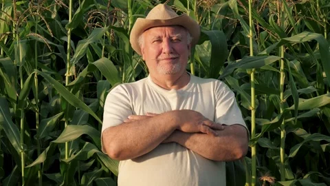Confident senior farmer smiling in cornfield and arms crossed Stock Footage 332857183