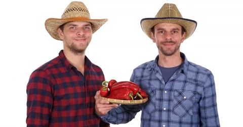 Confident Team of Farmer Men Looking Camera Holding Delicious Bio Red Peppers Stock Footage 77003117