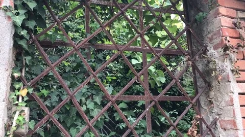 Confine Border 動画素材 82461975