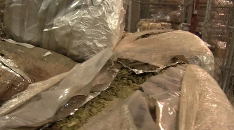Confiscated marijuana in DEA warehouse (HD) c Video stock 8648450