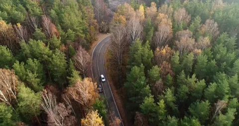 Conflict on the road between drivers. 動画素材 146264368