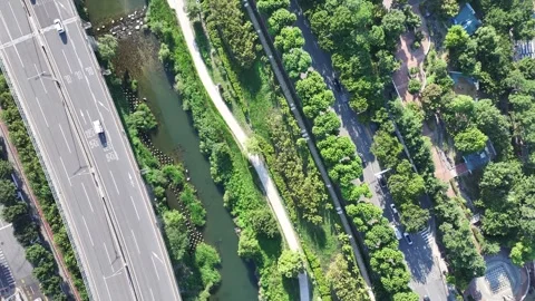 The confluence of Cheonggyecheon and Jungnangcheon Stock Footage 318831453