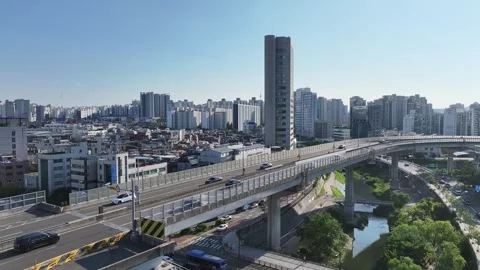 The confluence of Cheonggyecheon and Jungnangcheon Stock Footage 318831784
