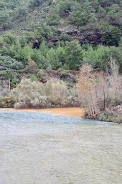 Confluence contrasting rivers Stock Photos