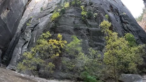 Confluence of Deep Creek in the Upper Narrows in Zion, Top-Down Trail, Zion Stock Footage 278196306