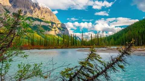 Confluence River Bend Dual Pine Time Lapse Pan In 4K Stock Footage 134643451