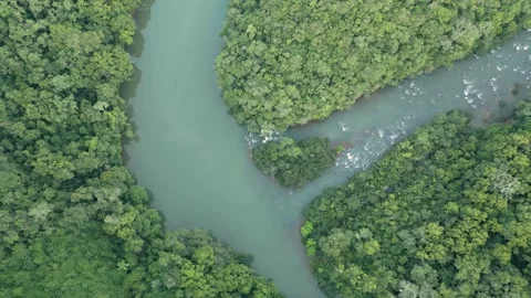 Confluence of rivers in the middle of the forest. Turquoise. Zenithal. Video stock 332260751