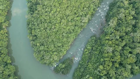 Confluence of rivers in the middle of the forest. Turquoise. Zenithal. Stock Footage 332260768