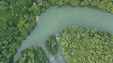 Confluence of rivers in the middle of the forest. Turquoise. Zenithal. Stock Footage 332260798