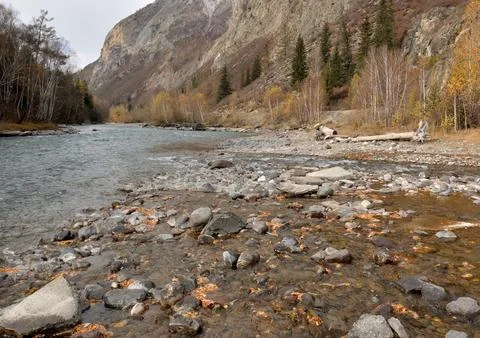 The confluence of two small mountain rivers with a rocky bottom and banks f.. Stock Photos