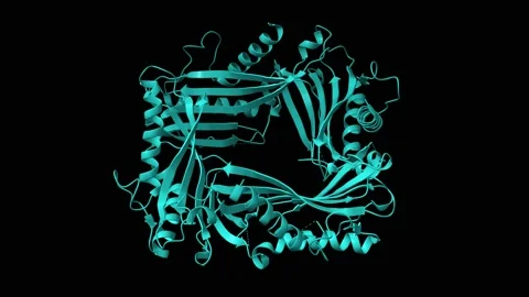 Conformational changes of I-II linker of TRPML1 channel at pH 4.5 and 7.5 Stock Footage 147079780