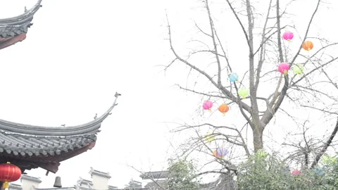 Confucius statue 動画素材 85823133