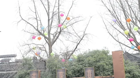 Confucius statue Stock-Footage 85823164