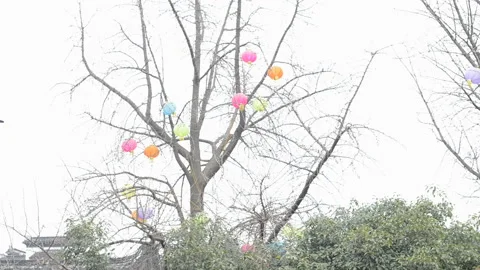 Confucius statue Видео 122495743