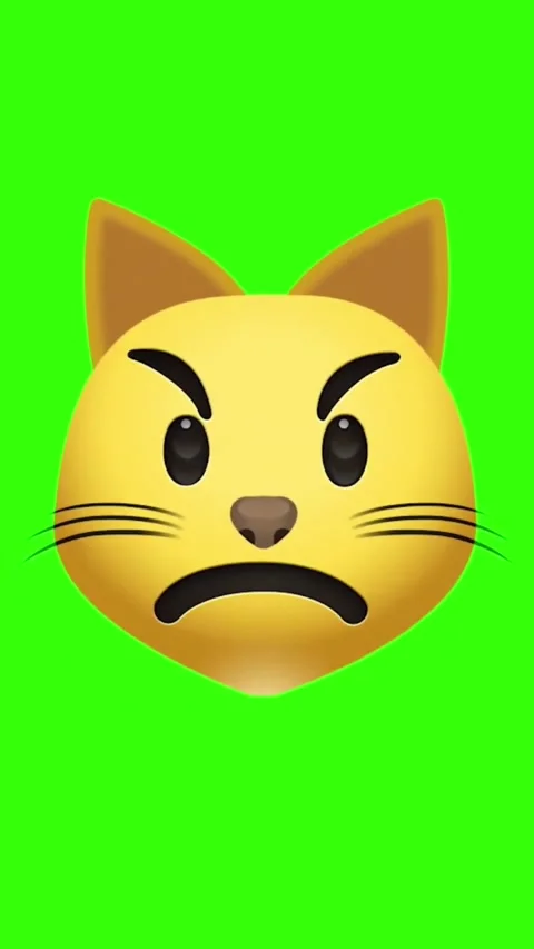 Confused cat emoji animation loop on green screen background Video stock 329406079