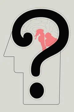 Confusion head question mark brain Stock Illustration