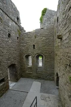 Cong Abbey 스톡 사진