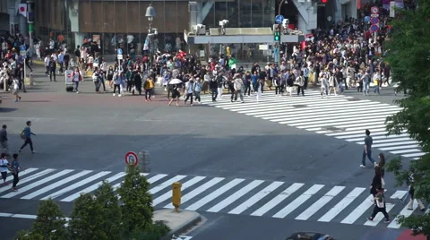 Congested Tokyo Shibuya Intersection (scramble Intersection) Stock Footage 66654726