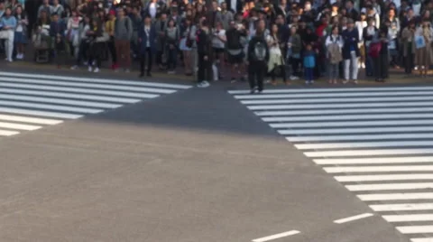 Congested Tokyo Shibuya Intersection (scramble Intersection) Stock Footage 66654729
