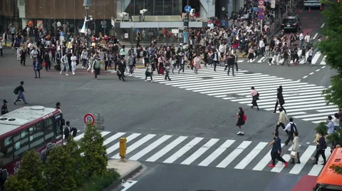 Congested Tokyo Shibuya Intersection (scramble Intersection) Stock Footage 66654758