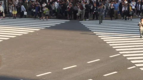 Congested Tokyo Shibuya Intersection (scramble Intersection) Stock Footage 66655778