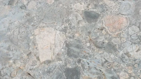 Conglomerate Boulder from Archean Eon 1 Stock Footage 282295878