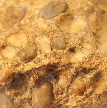 Conglomerate Stock Photos