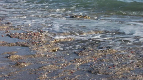 Conglomerate rocks at the beach Stock Footage 32233138