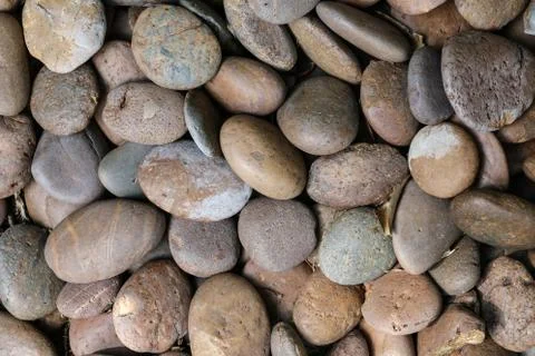 Conglomerate stone Stock Photos