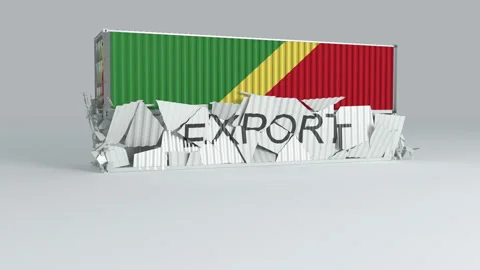 Congo Republic container with the flag falls on top of a container Stock Footage 124445921