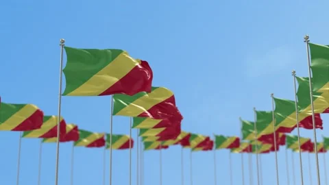 Congo Republic Row Of Flags 3D Animation Stock-Footage 148650120