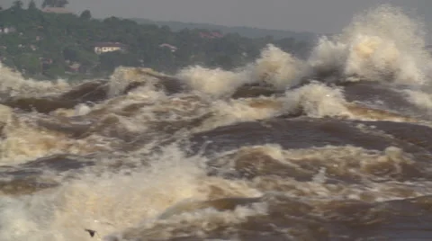 Congo River close-up slow pan from left to right Stock Footage