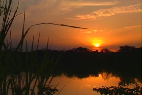 Congo sunset 01 Video stock 607432