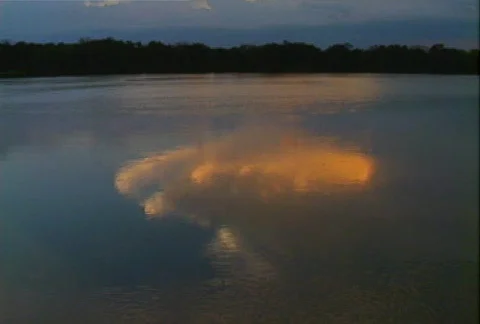 Congo sunset 03 Stock Footage 607446