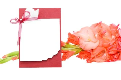 Congratulation and gladiolus Stock Photos