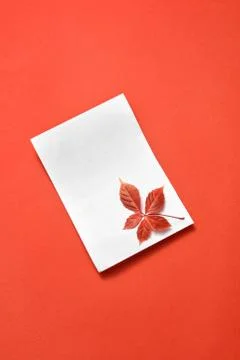 Congratulation card with fall grape leaf on a coral. Stock Photos