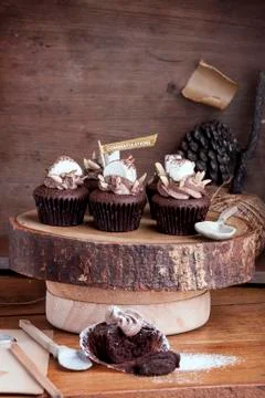 Congratulation chocolate cupcake with marshmallow Stock Photos